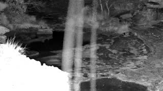 Still 2 from this detection