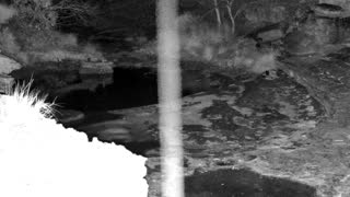 Still 2 from this detection