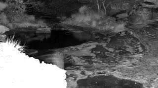 Still 1 from this detection