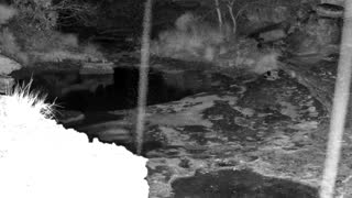 Still 1 from this detection