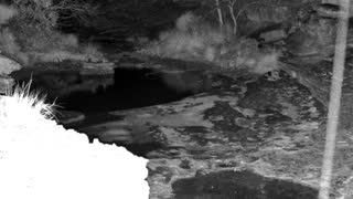 Still 2 from this detection