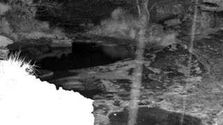 Still 3 from this detection