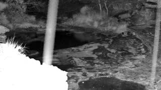Still 2 from this detection