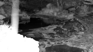 Still 1 from this detection
