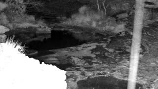 Still 2 from this detection