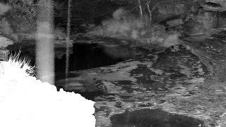 Still 2 from this detection