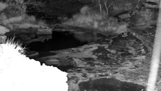 Still 1 from this detection