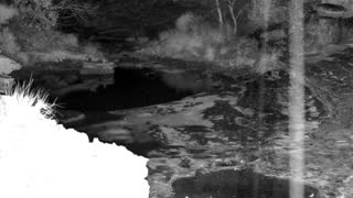 Still 1 from this detection