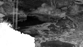 Still 2 from this detection