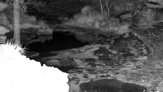 Still 2 from this detection