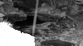 Still 2 from this detection
