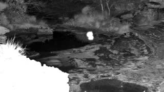 Still 1 from this detection