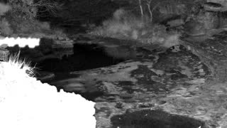 Still 2 from this detection