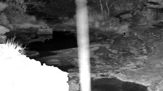 Still 2 from this detection