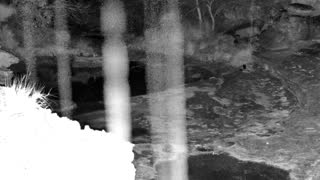 Still 1 from this detection