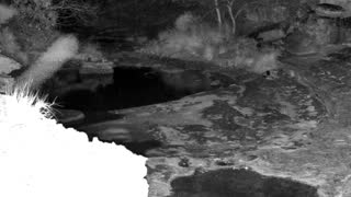 Still 2 from this detection
