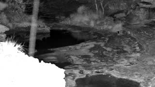 Still 1 from this detection
