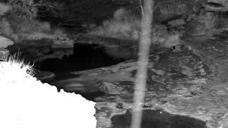 Still 1 from this detection
