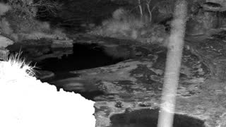 Still 1 from this detection