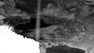Still 1 from this detection