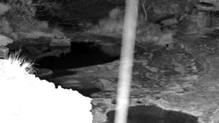 Still 1 from this detection