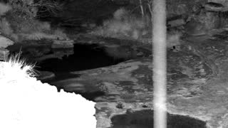 Still 1 from this detection