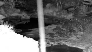 Still 1 from this detection