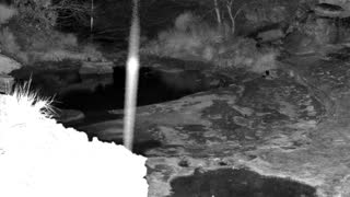 Still 2 from this detection