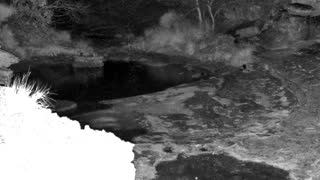 Still 2 from this detection