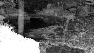 Still 3 from this detection