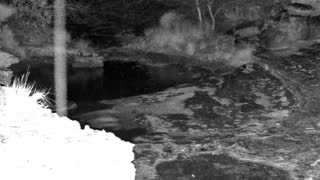 Still 3 from this detection