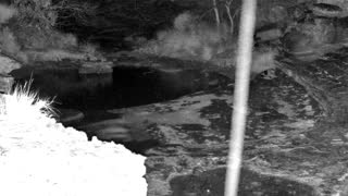 Still 3 from this detection