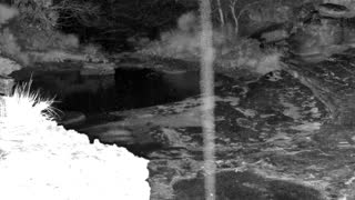 Still 1 from this detection