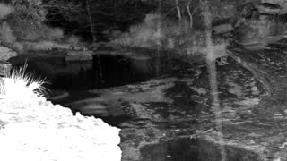 Still 2 from this detection