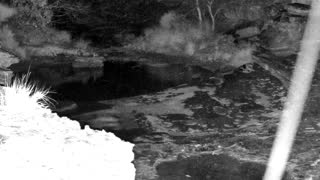 Still 2 from this detection