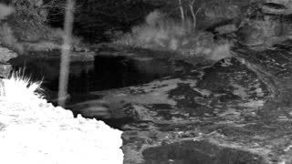 Still 3 from this detection