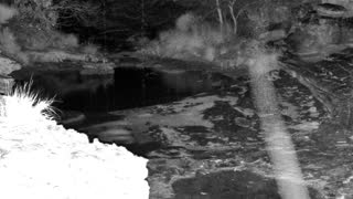 Still 2 from this detection