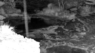 Still 2 from this detection