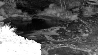 Still 2 from this detection