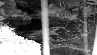 Still 1 from this detection