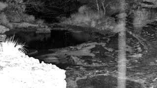Still 3 from this detection