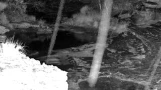 Still 3 from this detection