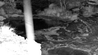 Still 3 from this detection