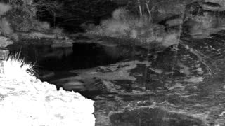 Still 3 from this detection