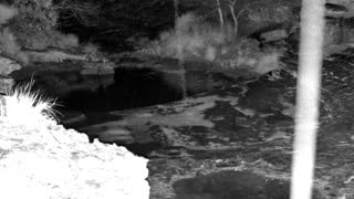 Still 1 from this detection