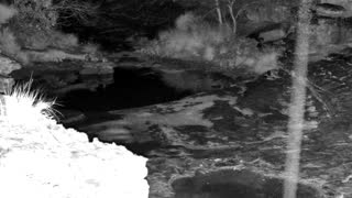 Still 2 from this detection
