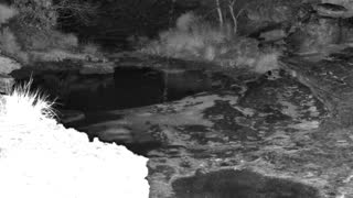Still 2 from this detection