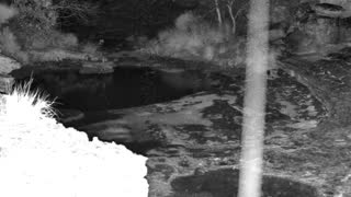 Still 2 from this detection