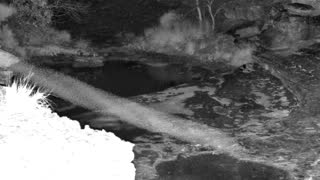 Still 3 from this detection