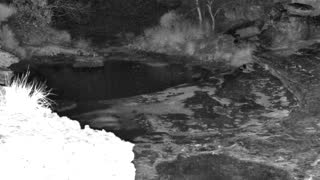 Still 1 from this detection